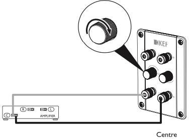 Схема подключения центрального канала KEF R2c Walnut одним кабелем