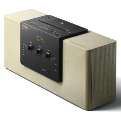 Аудиосистема TSX-B141 Champagn gold