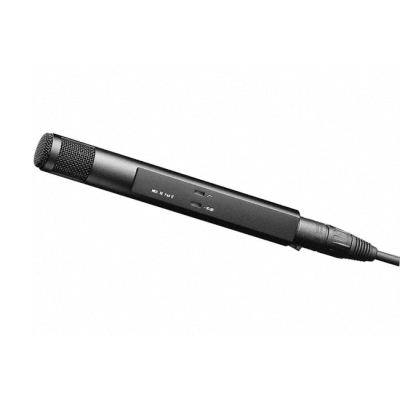 MKH 30-P48 Универсальный студийный микрофон