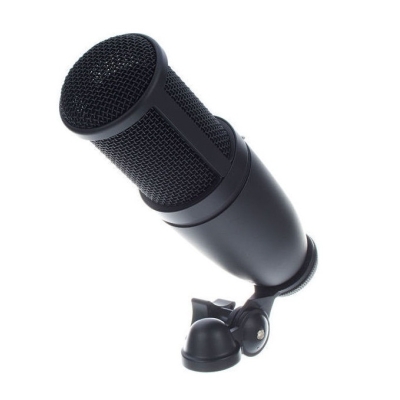 Студийный микрофон P120