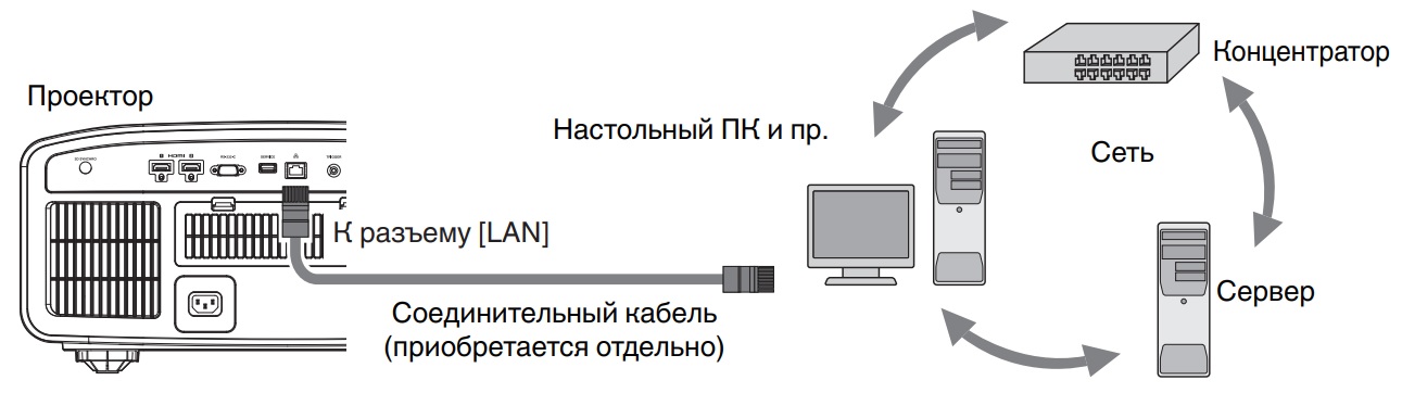 Подключение к разъему LAN проектора JVC DLA-N5