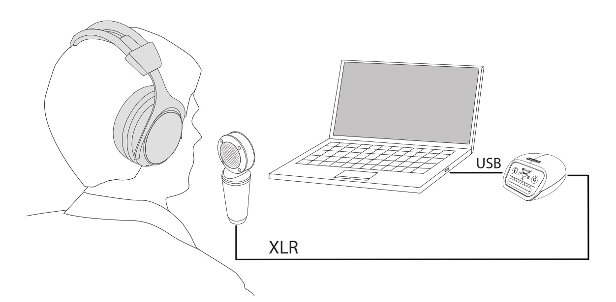Схема подключения SHURE PGA181-XLR к ПК через аудиоинтерфейс SHURE MVi