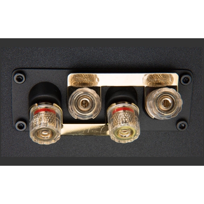 Полочная акустическая система DIAMOND 220