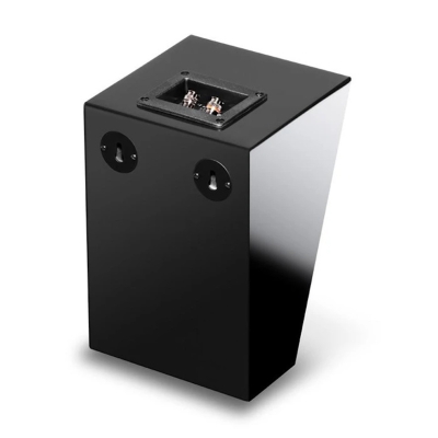 Пассивная акустическая система R8a Black Gloss
