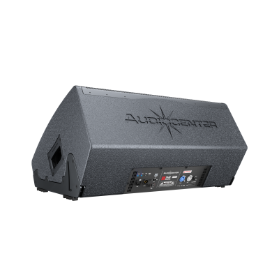 Активный напольный сценический монитор WM210-DSP