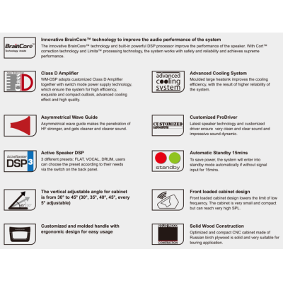 Активный напольный сценический монитор WM210-DSP