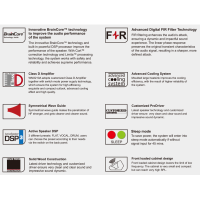 Активный напольный сценический монитор WM3210A