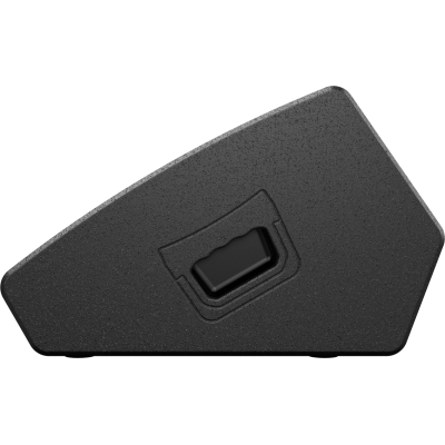 Активный напольный сценический монитор WM3210A