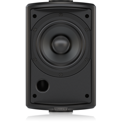 Всепогодная настенная акустическая система AMS 5ICT BL