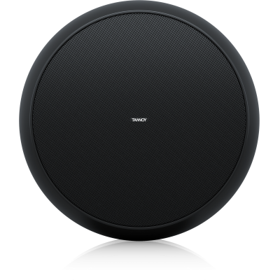 Подвесная пассивная АС OCV 6 BK