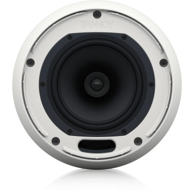 Подвесная пассивная АС OCV 6 WH