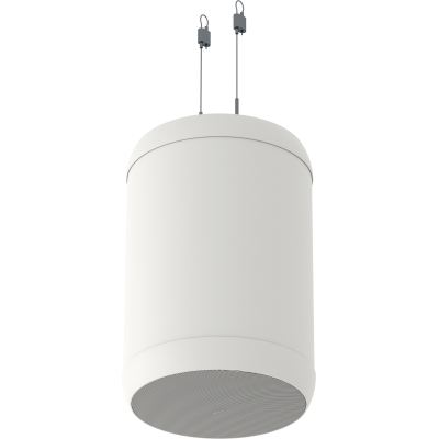 Подвесная пассивная АС