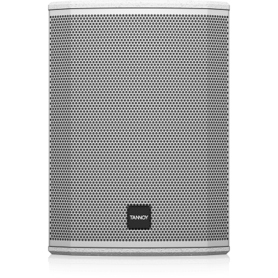 Настенная акустическая система