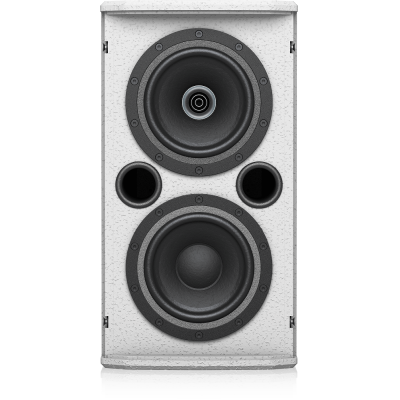 Настенная двухполосная акустическая система VX 5.2 WH