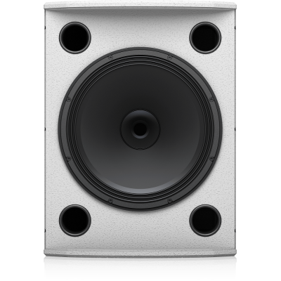 Настенная акустическая система VX 12HP WH