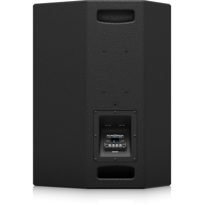 Настенная акустическая система VX 15HP BL