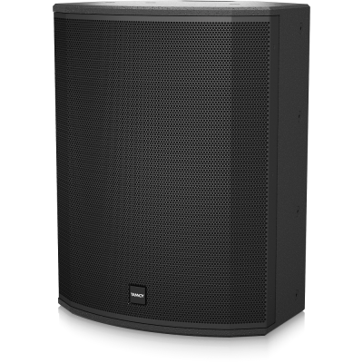 Настенная акустическая система VX 15HP BL