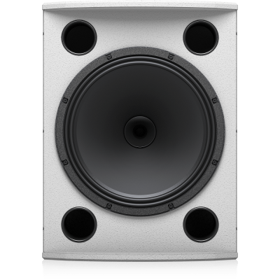 Настенная акустическая система VX 15HP WH