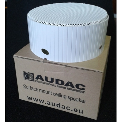 Широкополосная настенная акустическая система CSS556