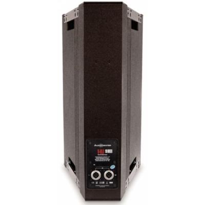 Линейный массив V-HLA 10 MKII