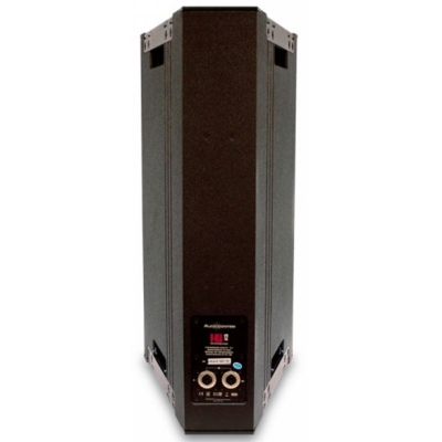 Линейный массив V-HLA 12 MK