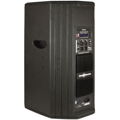 Активная акустическая система TS12