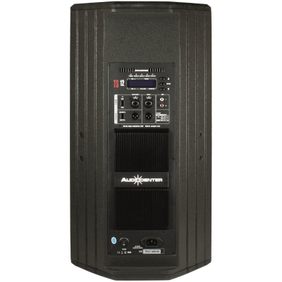 Активная акустическая система TS12