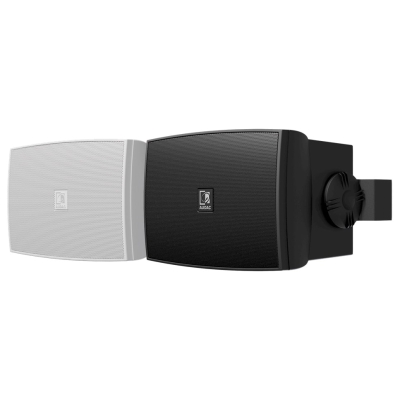 Всепогодная двухполосная акустическая система (улучшенная версия) WX502MK2/OW