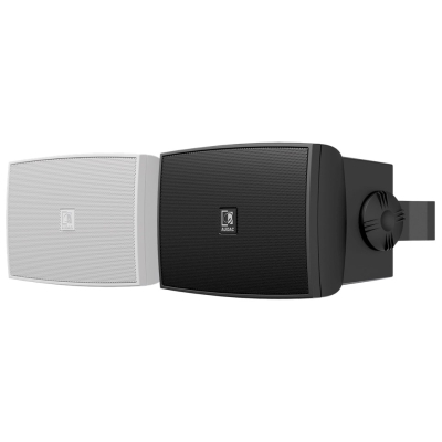 Настенная двухполосная акустическая система (улучшенная версия) WX302MK2/W