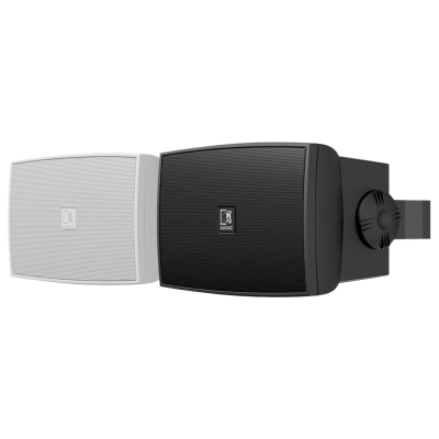 Всепогодная двухполосная акустическая система (улучшенная версия) WX302MK2/OW