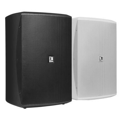 Настенная двухполосная акустическая система XENO6/W