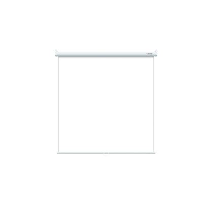 Настенный экран Eco Picture