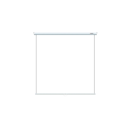 Настенный экран Eco Picture