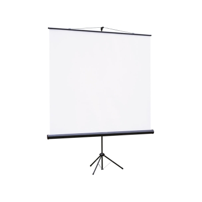 Экран на штативе Eco View