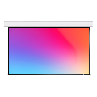 Экран с электроприводом