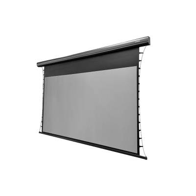 Экран с электроприводом