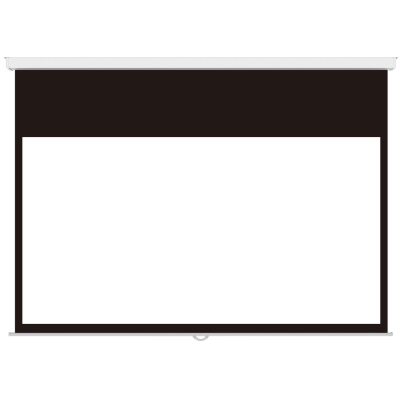 Настенный экран Master Picture CSR