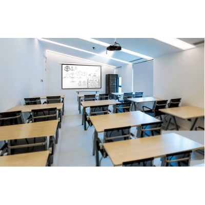 Настенный экран Master Picture CSR