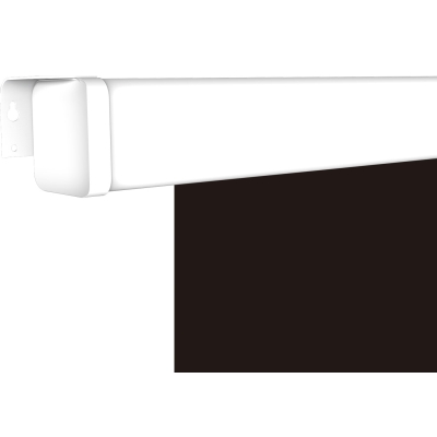 Настенный экран Master Picture CSR