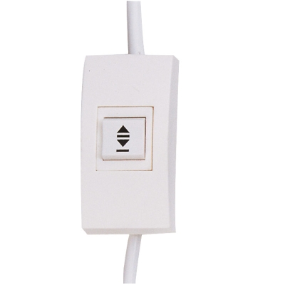 Экран с электроприводом Master Control