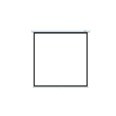 Настенный экран Eco Picture