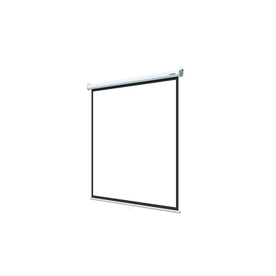 Настенный экран Eco Picture