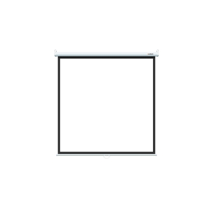 Настенный экран Eco Picture