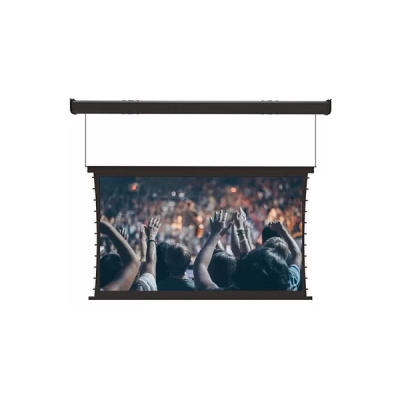 Экран с электроприводом Master Wire Control