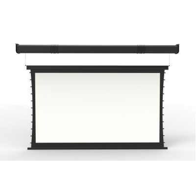 Экран с электроприводом