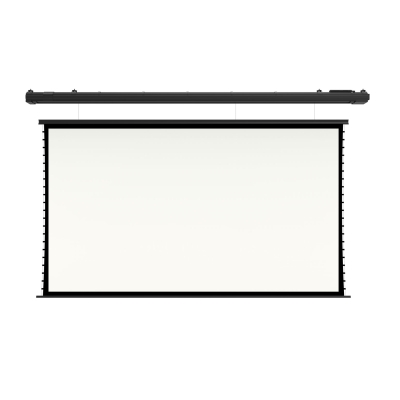 Экран с электроприводом Master Wire Control