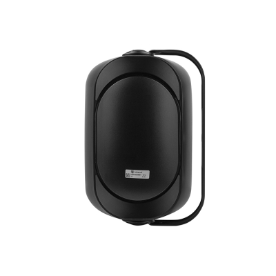 Акустическая система