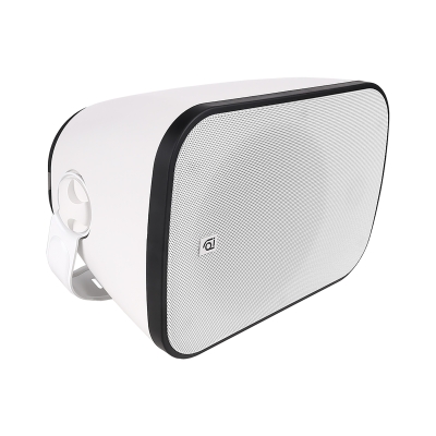 Акустическая система ITSPK-650WWT-W