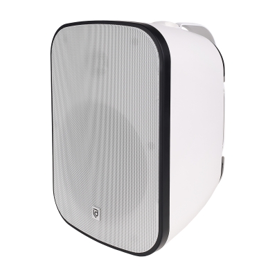 Акустическая система ITSPK-650WWT-W