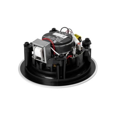 Акустическая система ITSPK-420CT